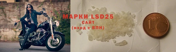 гидра Белокуриха