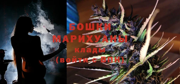 PSILOCYBIN Баксан