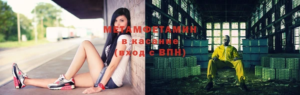 гидра Белокуриха